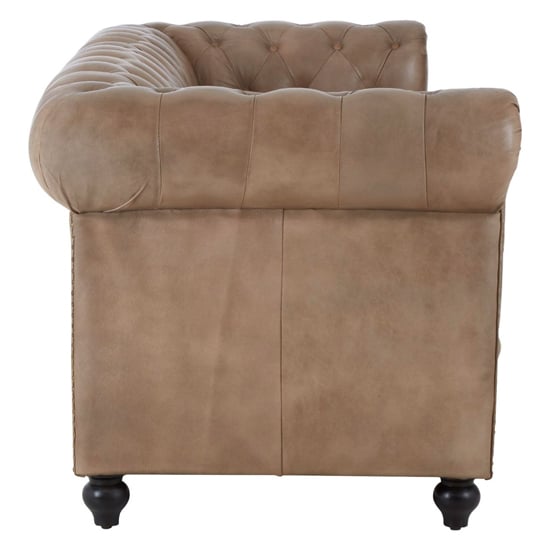 Australis Upholstered Leather 3 Seater Sofa In Light Brown_3