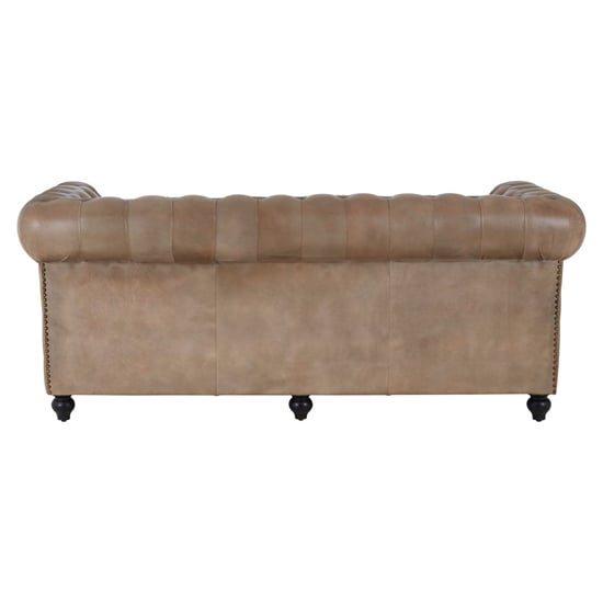 Australis Upholstered Leather 3 Seater Sofa In Light Brown_4