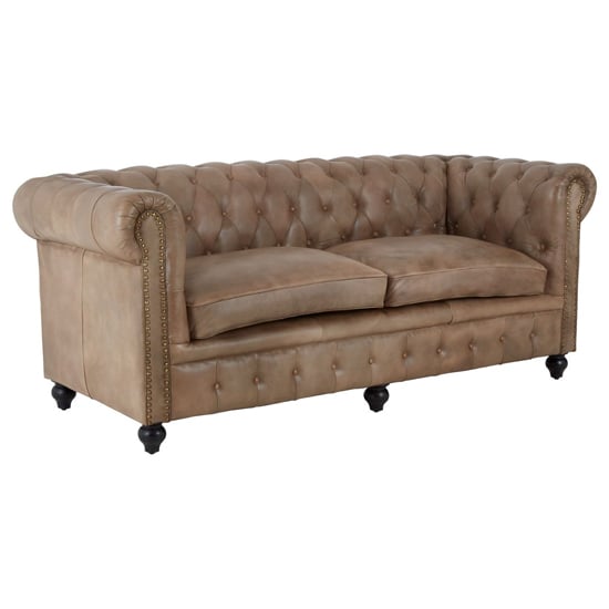 Australis Upholstered Leather 3 Seater Sofa In Light Brown