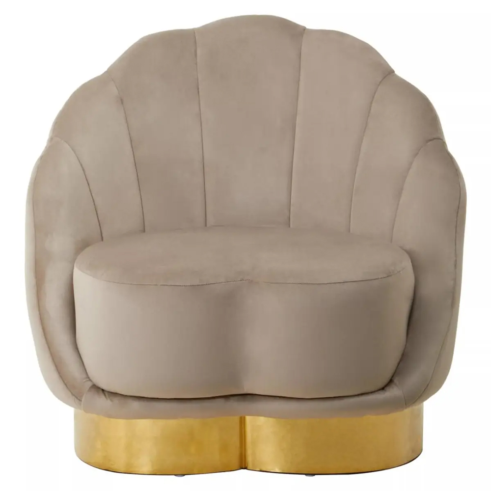 Bayfield Velvet Accent Chair With Gold Steel Base In Mink