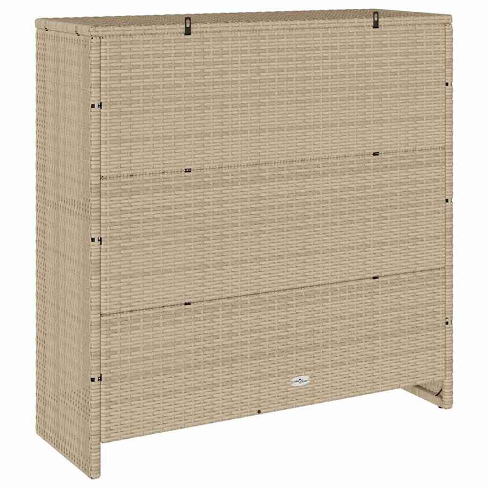 Bellport Rattan Storage Cabinet With 2 Doors In Beige
