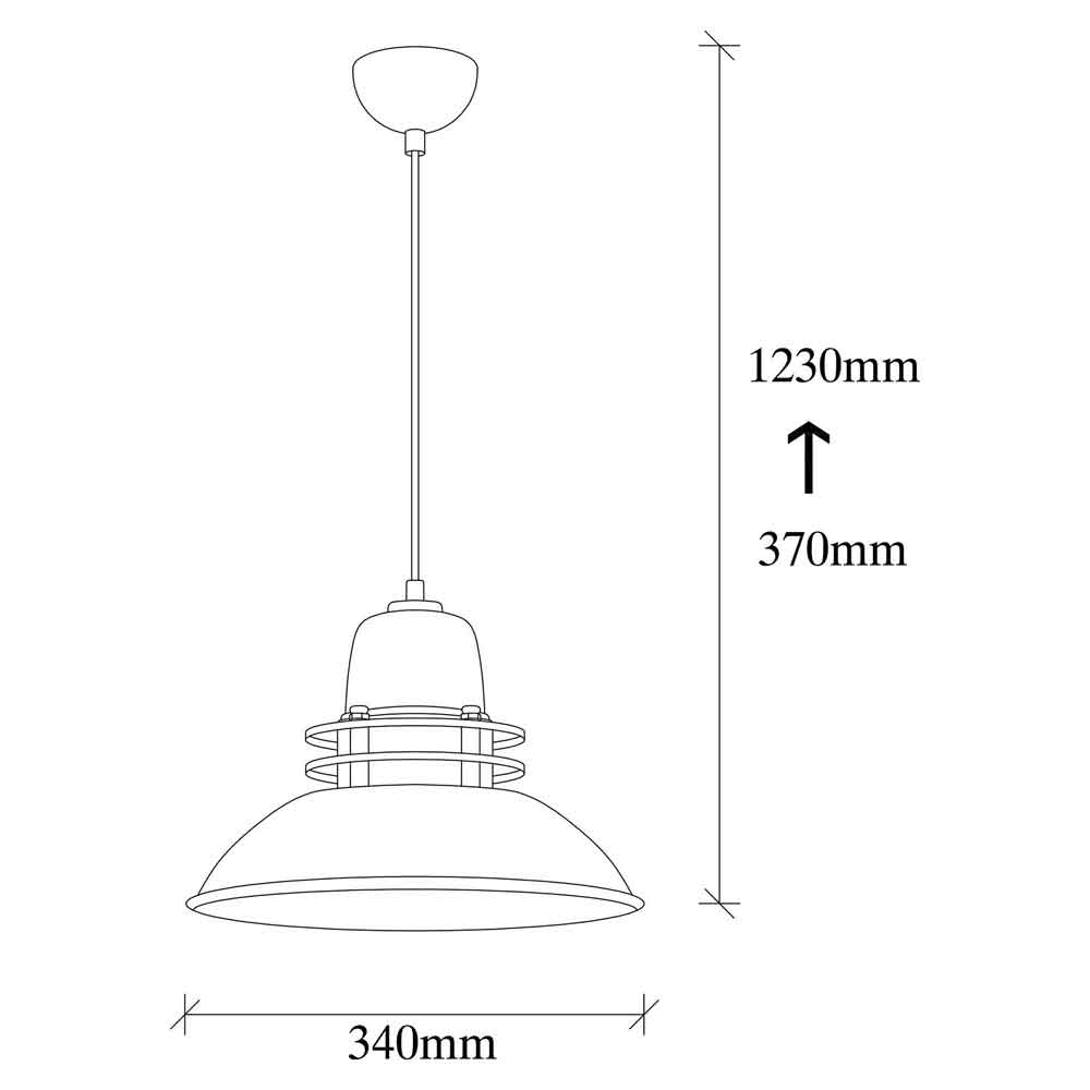 Berceste Metal Caged Ceiling Pendant Light in Black
