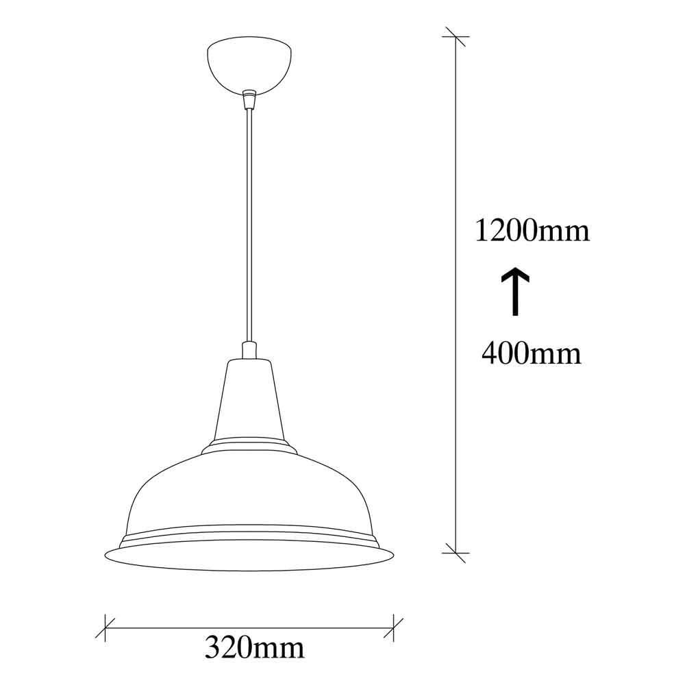 Berceste Metal Ceiling Pendant Light in Black and Gold