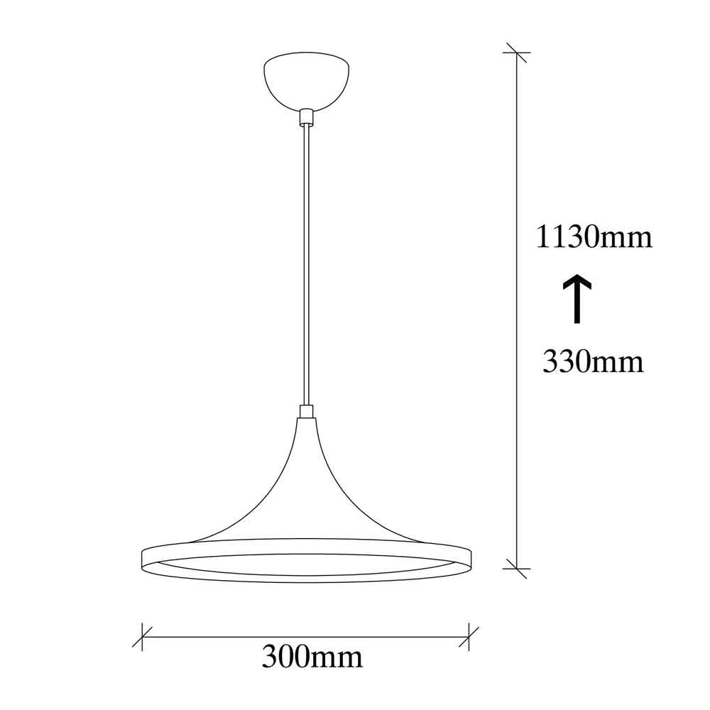 Berceste Metal Dome Ceiling Pendant Light in Black