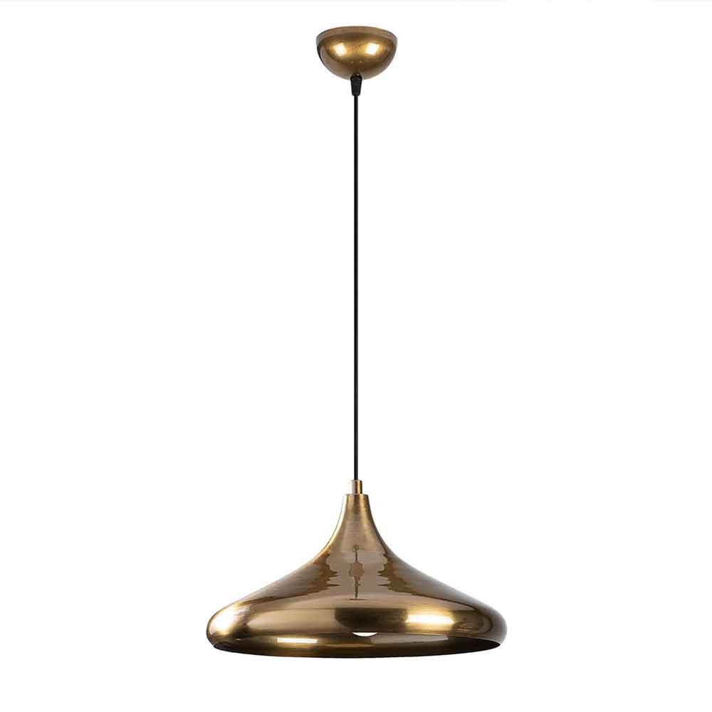 Berceste Metal Dome Ceiling Pendant Light in Gold