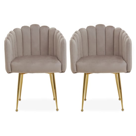 Product photograph of Beria Upholstered Mink Velvet Dining Chairs In A Pair from Furniture in Fashion