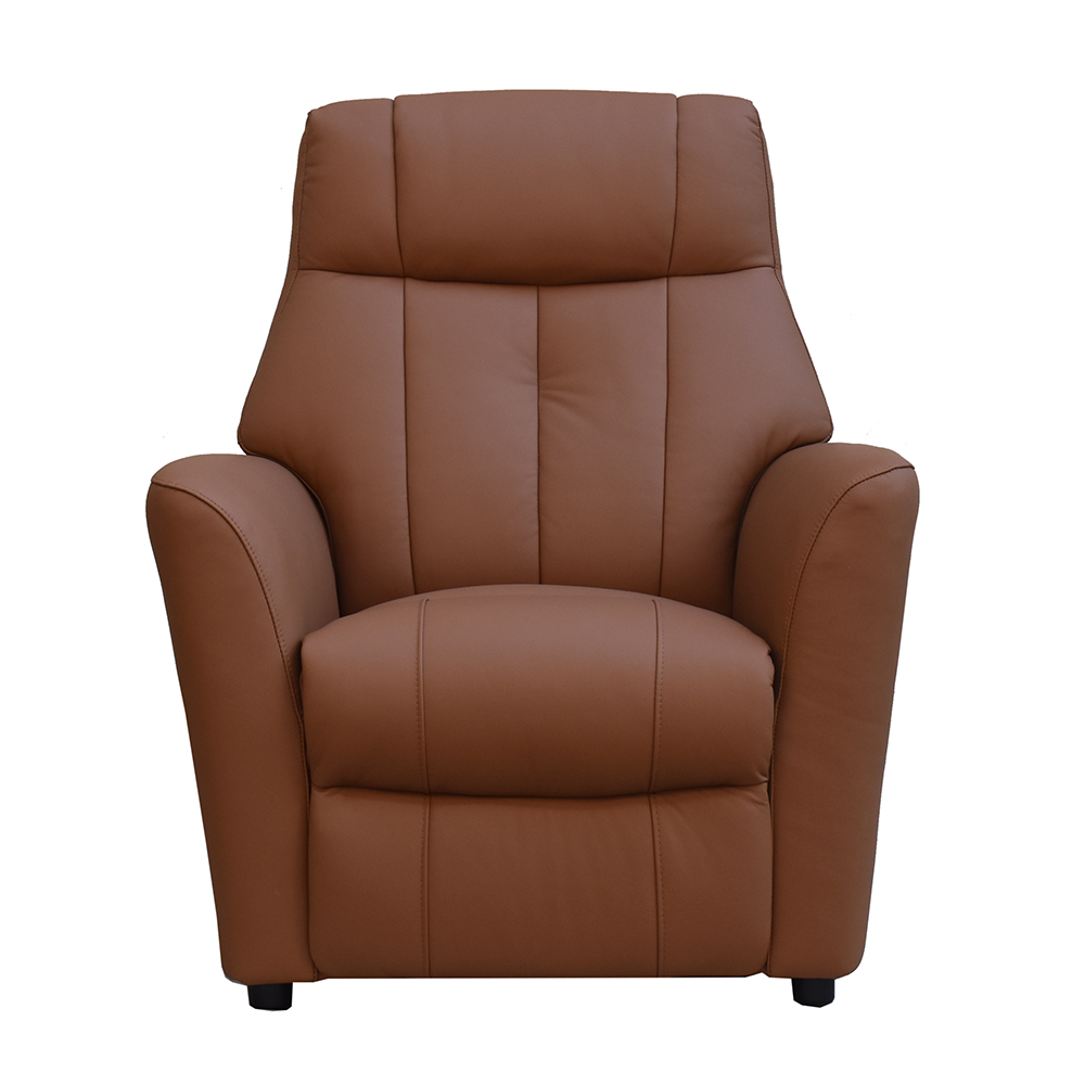 Bionel Leather 1 Seater Sofa in Camel