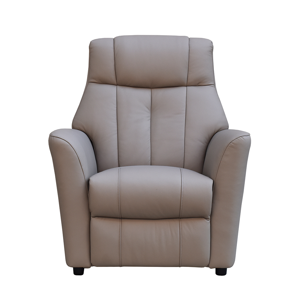Bionel Leather 1 Seater Sofa in Grey