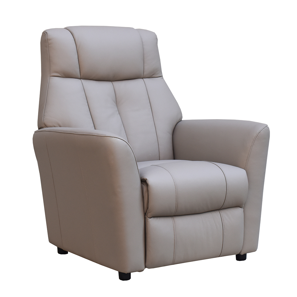Bionel Leather 1 Seater Sofa in Grey