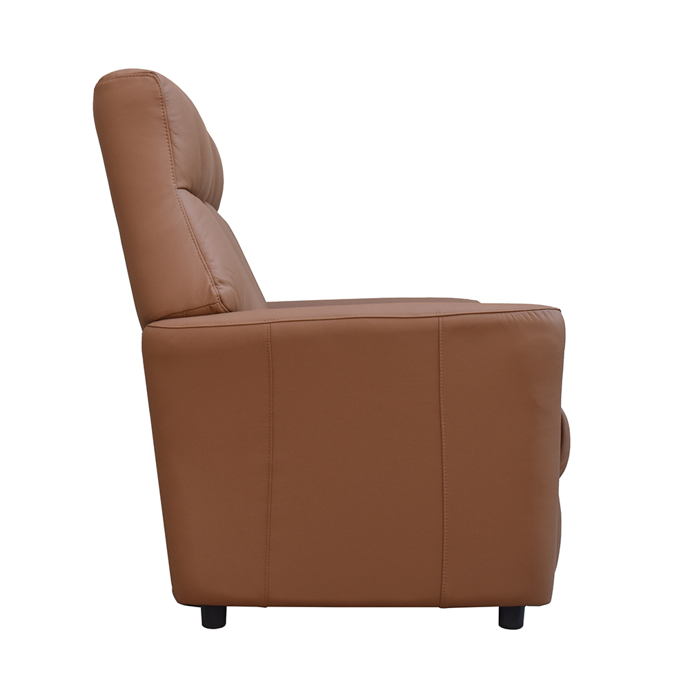 Bionel Leather 2 Seater Sofa in Camel