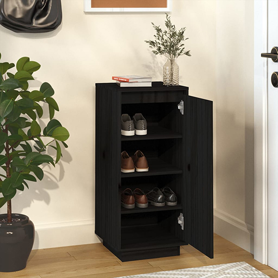 Boris Pinewood Shoe Storage Cabinet With 1 Door In Black