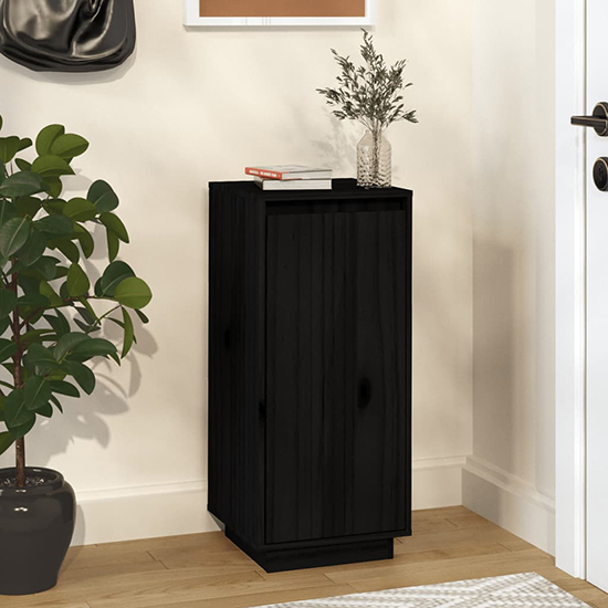 Boris Pinewood Shoe Storage Cabinet With 1 Door In Black