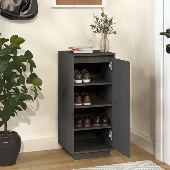 Boris Pinewood Shoe Storage Cabinet With 1 Door In Grey_2