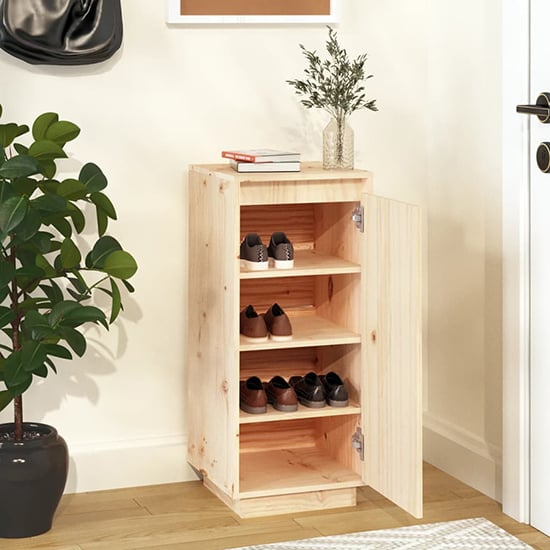 Boris Pinewood Shoe Storage Cabinet With 1 Door In Natural_2