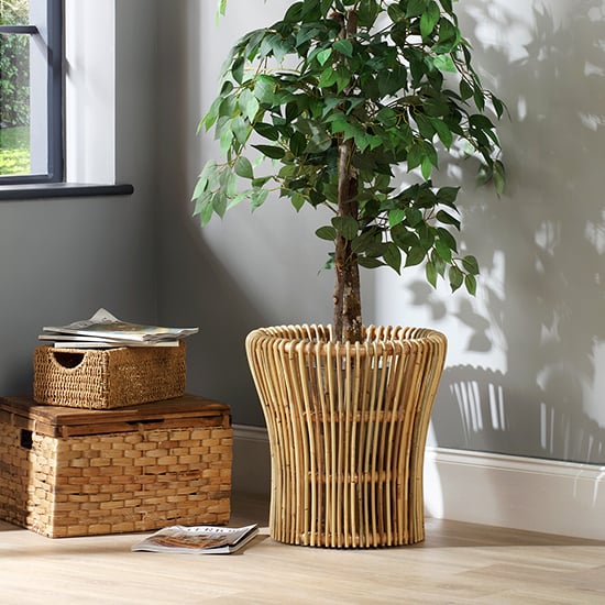 Photo of Braila set of 2 rattan plant baskets in natural