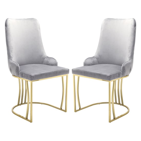 Brixen Grey Plush Velvet Dining Chairs With Gold Frame In Pair
