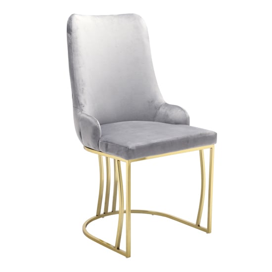 Brixen Plush Velvet Dining Chair In Grey With Gold Frame