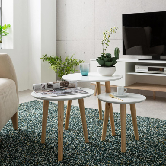 Capricornus Large Wooden Side Table In White And Pine_3