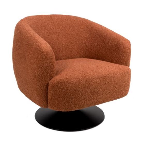 Product photograph of Cary Fabric Lounge Chair In Rust With Black Trumpet Base from Furniture in Fashion