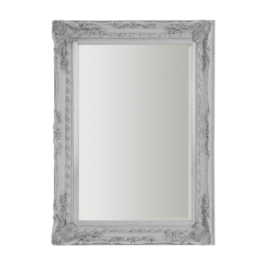 Cavolt Nature Inspired Wall Mirror In Weathered Silver Furniture in