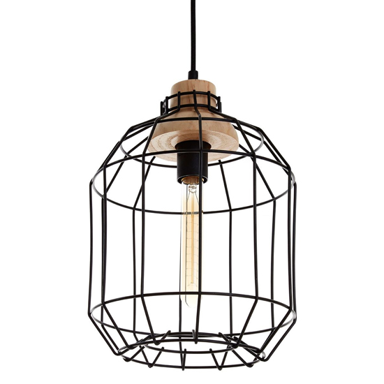 Ceakon Metal Wire Frame Pendant Light In Black