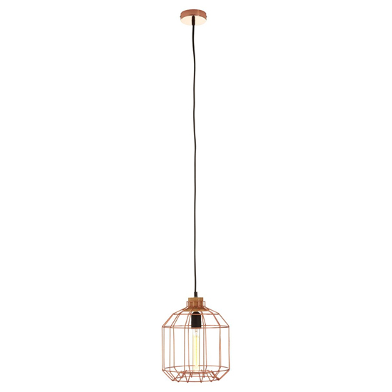 Ceakon Metal Wire Frame Pendant Light In Copper