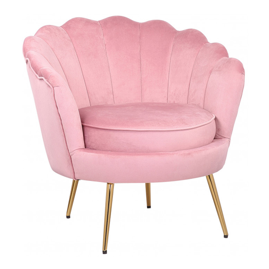 Cesar Velvet Armchair In Pink With Gold Steel Legs FiF