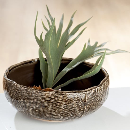 Cestino Ceramic Round Decorative Bowl In Antique Green