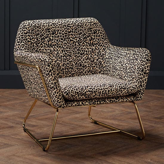 Coalville Plush Velvet Armchair In Leopard Print With Gold Frame
