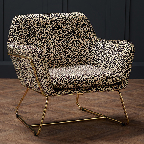Product photograph of Charlies Velvet Armchair With Gold Frame In Leopard Print from Furniture in Fashion