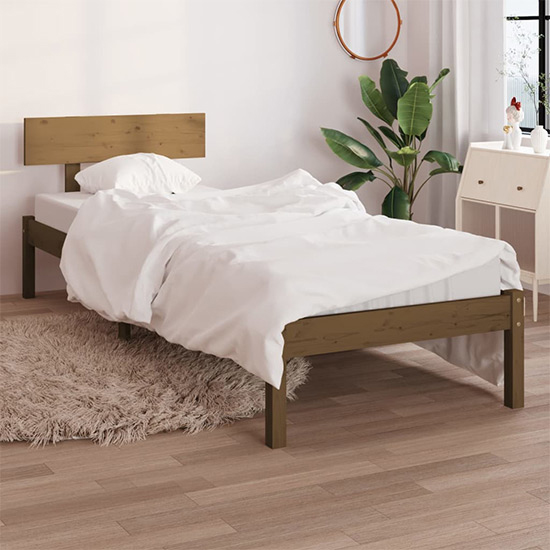 Photo of Chavez solid pinewood single bed in honey brown