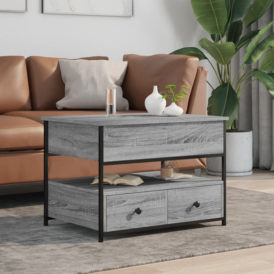 Chester Wooden Coffee Table Small With 2 Drawers In Grey Sonoma