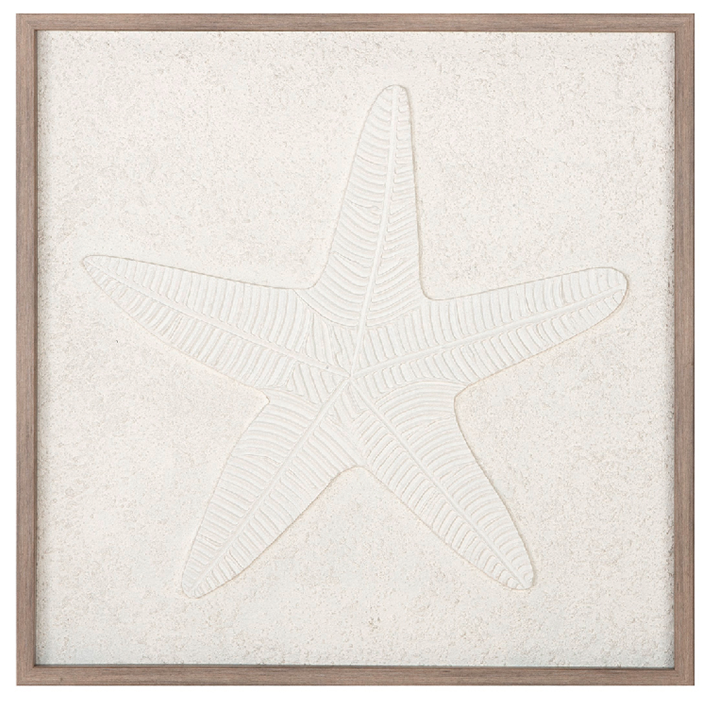 Colindale Wooden Shell Wall Art In Cream And Brown