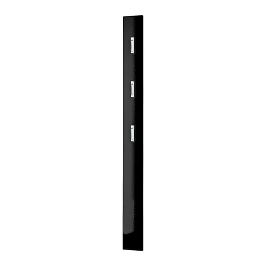 Colorado Wall Mounted High Gloss Coat Rack In Black