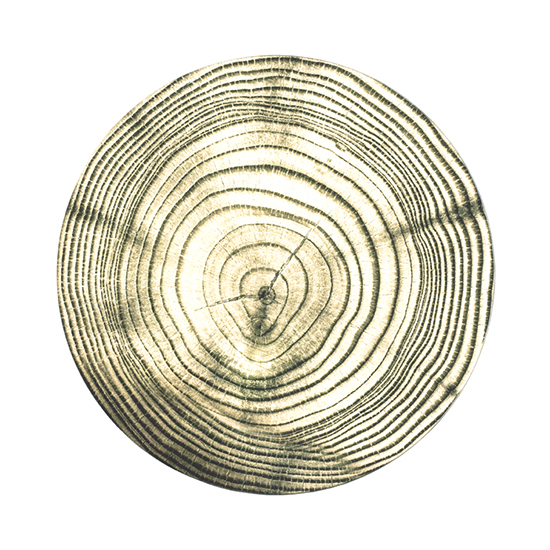 Creek Glass Side Table In Tree Annual Rings Print_2