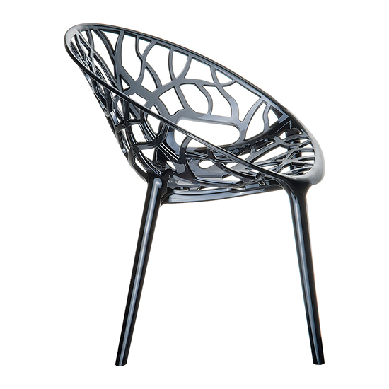 Cancun Clear Polycarbonate Transparent Dining Chair In Black_2