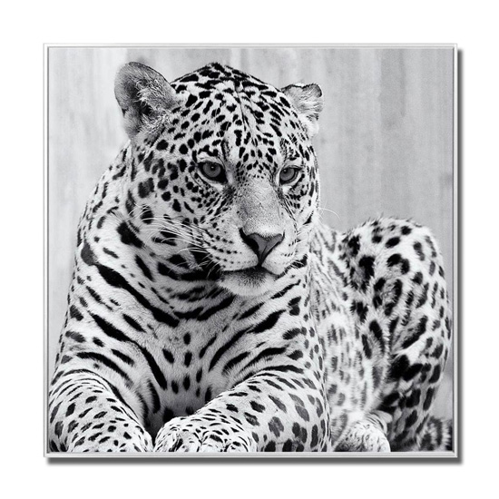 black and white cheetah painting