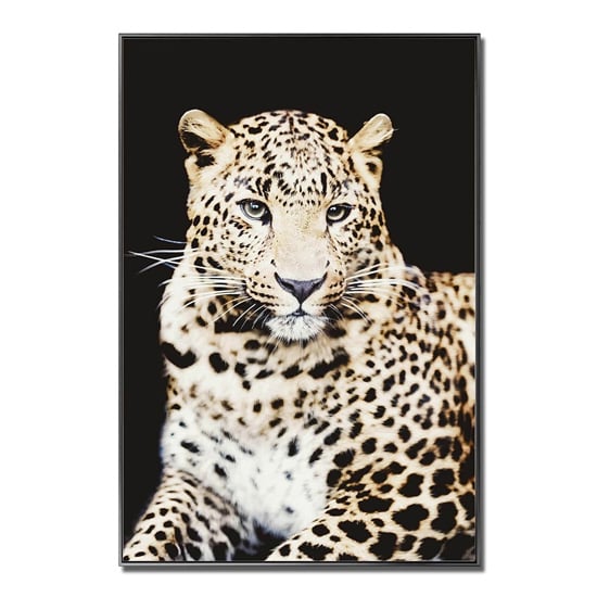 Cursa Cheetah Picture Glass Wall Art_2