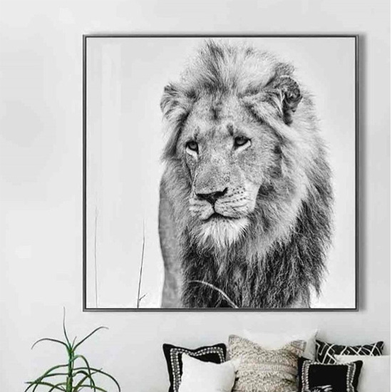 Photo of Cursa golden lion black and white picture glass wall art