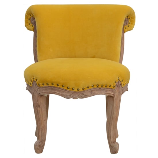 Product photograph of Cuzco Velvet Accent Chair In Mustard And Sunbleach from Furniture in Fashion