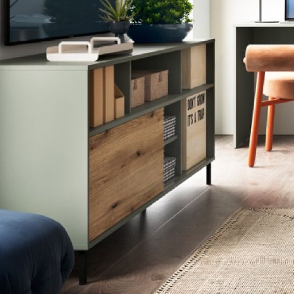 Read more about Danville wooden large tv stand with 1 sliding door in green oak