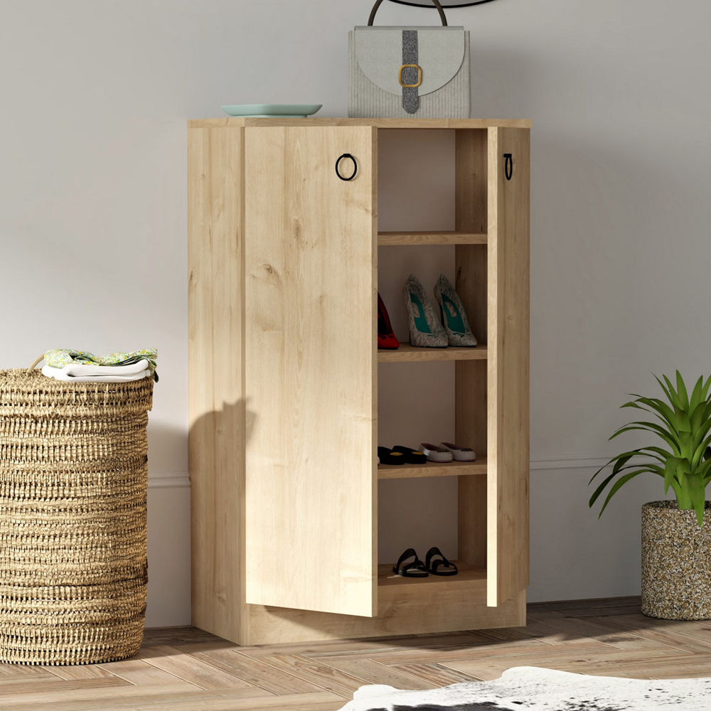 Davion Wooden Shoe Cabinet With 2 Doors In Sapphire