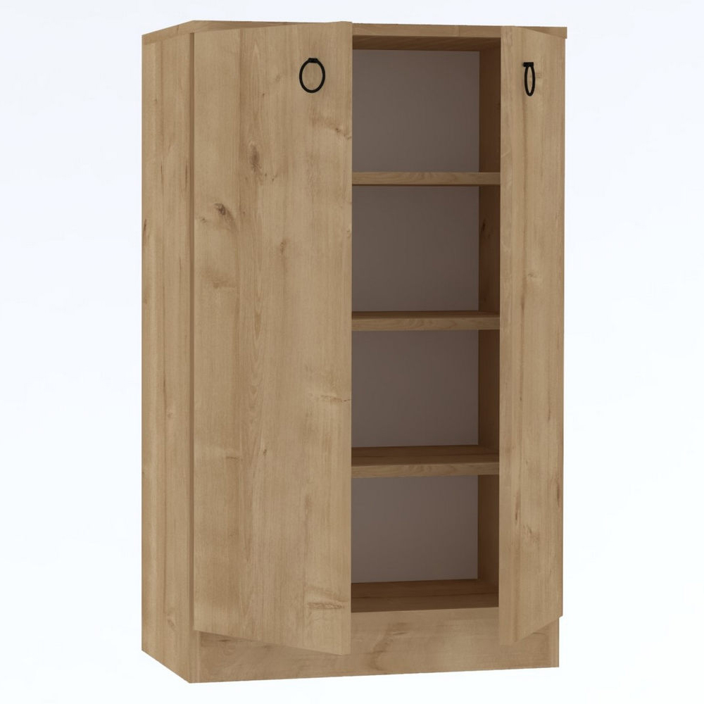 Davion Wooden Shoe Cabinet With 2 Doors In Sapphire