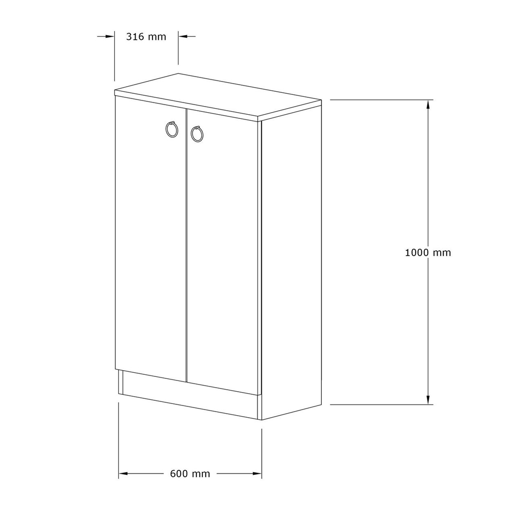 Davion Wooden Shoe Cabinet With 2 Doors In Sapphire