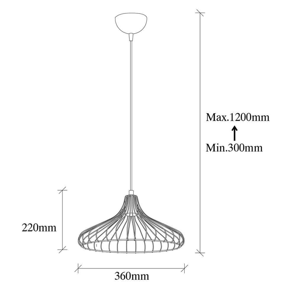 Depay Metal Ceiling Pendant Light in Black