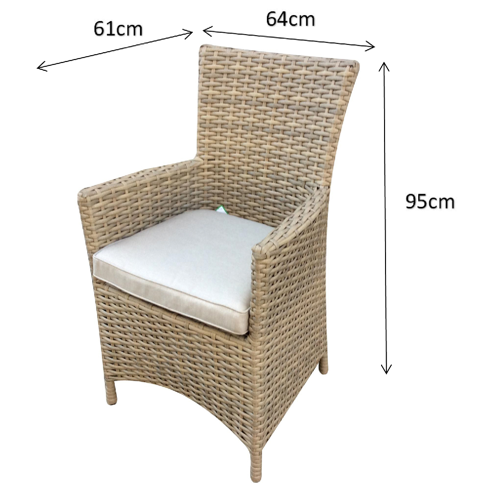 Derya Natural Rattan Garden Dining Chairs With Cushion In Pair