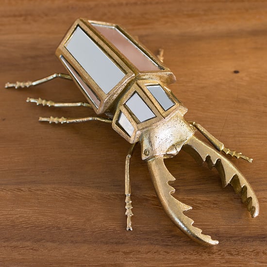 Product photograph of Destin Stag Beetle Ornament In Gold from Furniture in Fashion
