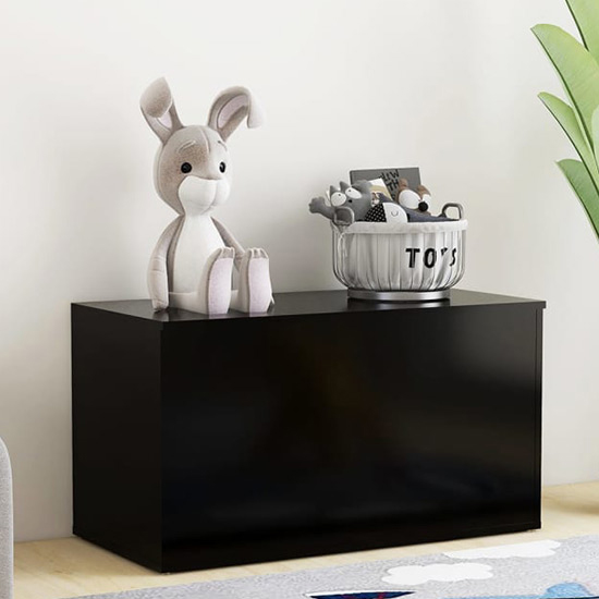 Devaun Wooden Storage Blanket Box In Black