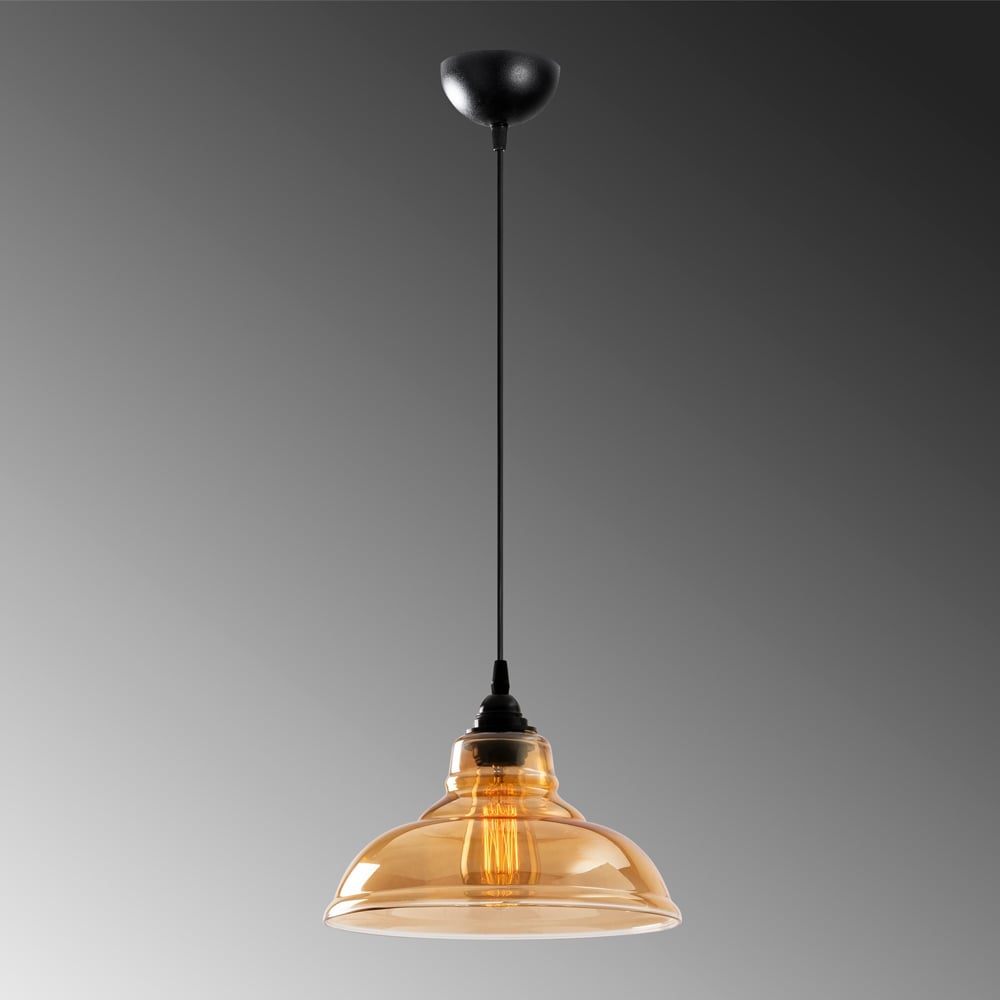 Dilberay Metal Ceiling Pendant Light in Black