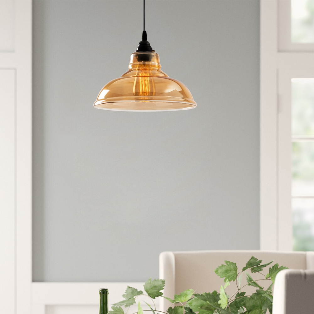 Dilberay Metal Ceiling Pendant Light in Black
